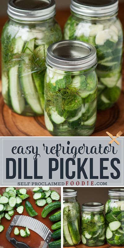 Homemade Dill Pickles No Canning, Homemade Claussen Dill Pickles, Kosher Dill Pickles Homemade Easy, Homemade Refrigerator Pickles Dill, Diy Dill Pickles Recipes, Easy Refrigerator Dill Pickles Recipe, Diy Pickles Easy, Refrigator Pickles, Diy Dill Pickles