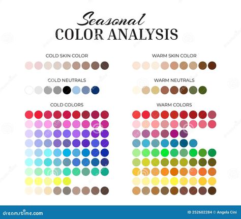 Seasonal Color Analysis Palette with Cold and Warm Color Swatches for Every Color, Neutrals, Skin Shades Vector Cold Neutral Color Palette, Color Analysis Palette, Cold Skin Tone, Warm And Cold Colours, Warm Palette, Seasonal Color Analysis, Warm Undertone, Every Color, Blue Makeup