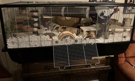 This is the new, extra large version of the Savic Plaza cage https://www.youtube.com/watch?v=jmtXc-8IYD8 Large Hamster Cages, Hamster Cages, Hamster Cage, Hamsters, Rats, Extra Large