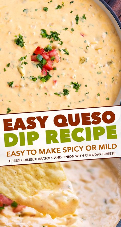 Mexican Cheese Dip, Mexican Appetizer, Velveeta Queso, Cheese Dip Mexican, Queso Dip Recipe, Appetizer Party, Chunky Chef, Sauce Spaghetti, Queso Dip Recipes