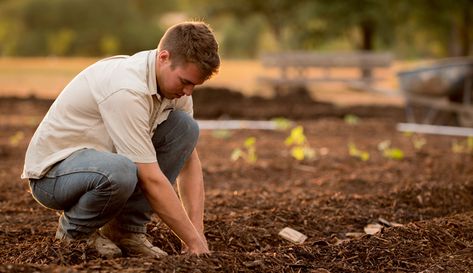 A Greener World's regenerative agriculture pilot program places environmental sustainability, animal welfare and human equity issues front-and-center on the farm. 📷 Jed Owen/Unsplash Horticulture Therapy, The Karate Kid, Growing Grass, Eco Lifestyle, Grass Seed, Olive Garden, Hobby Farms, Planting Vegetables, Plant Growth