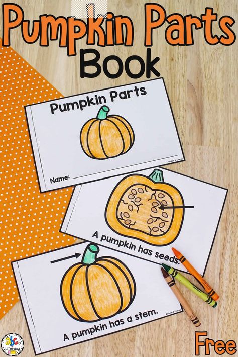 When reading this Parts of a Pumpkin Book, kids can practice the concepts of print as they learn about the parts of a pumpkin! Printable Books For Preschool, Pumpkin Parts Labeling, Parts Of Pumpkin Preschool, Pumpkin Book Craft, Pumpkin Labels Free Printable, Free Pumpkin Investigation Printable, Pumpkin Inquiry Kindergarten, Preschool Pumpkin Investigation, Pumpkin Parts Preschool