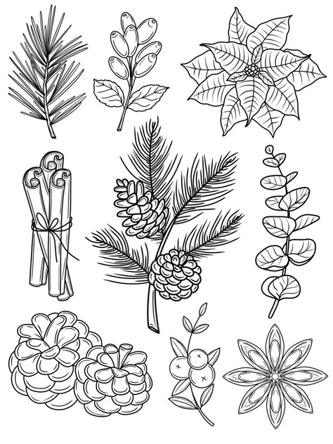 Winter Botanicals Procreate Stamps Brushes Winter Plant Drawing, Christmas Plants Drawing, Winter Flower Drawing, Winter Botanical Illustration, Winter Foliage Illustration, Christmas Botanical Illustration, Winter Flowers Illustration, Winter Tattoo Flash, Christmas Flowers Drawing