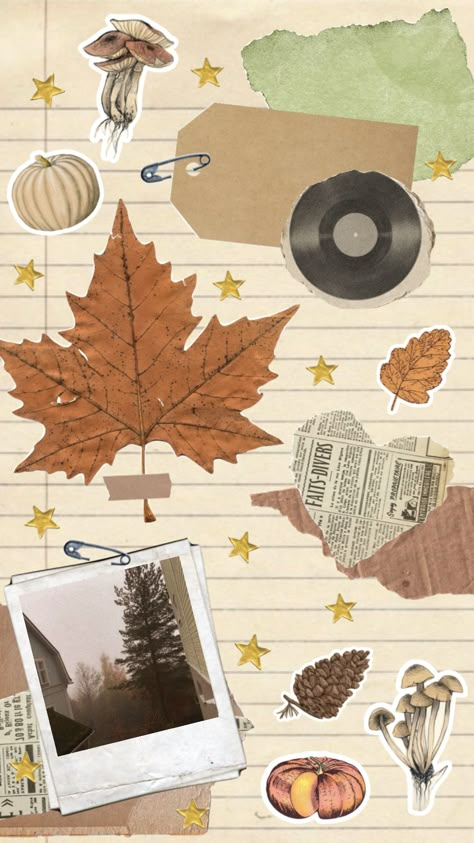 Autumn Photo Collage, Fall Scrapbook Stickers, Fall Scrapbook Layouts Autumn, Autumn Collage Art, Fall Wallpapers For Iphone Aesthetic, Autumn Background Aesthetic, Scrapbook Moodboard, Autumn Collage Wallpaper, Autumn Aesthetic Collage