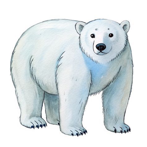 Cute Polar Bear Cute Polar Bear Drawing, Polar Bear Clipart, Polar Bear Drawing, Polar Bear Images, Polar Bear Cartoon, Polar Bear Illustration, Birds Clipart, St Luke, Polar Animals