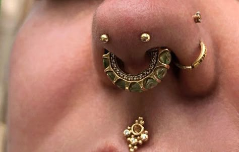 Gold Face Jewellery Piercing, Nostril Piercing With Septum, Double Medusa Piercing, Philtrum Piercing Jewelry, Gold Face Piercings, Philtrum Jewelry, Gold Nose Jewelry, Gold Piercings, Philtrum Piercing