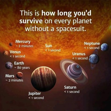 Cosmos Galaxy, Moon Science, Astronomy Facts, Cool Science Facts, Space Facts, Earth And Space Science, E Mc2, The Solar System, Earth From Space