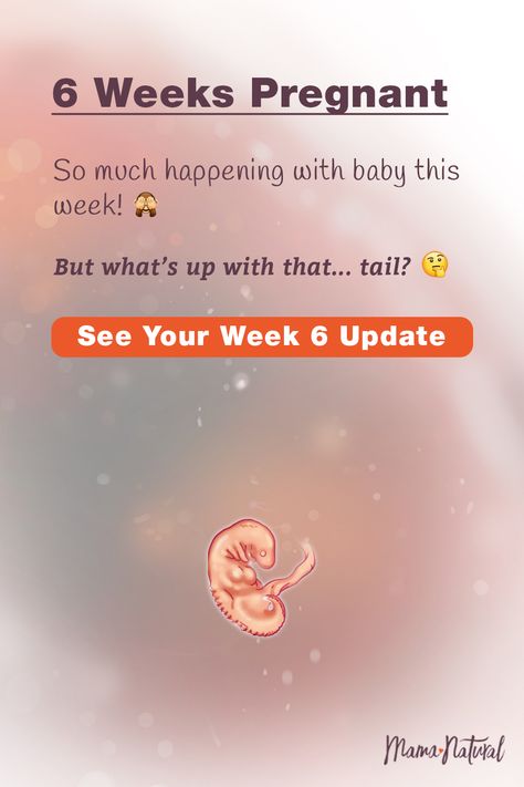 6weeks Pregnant, 6 Weeks Pregnant Symptoms, Pregnancy Chalkboard Tracker, Pregnancy Symptoms By Week, Single Mother By Choice, 6 Weeks Pregnant, 5 Weeks Pregnant, Missed Period, Timeline Images