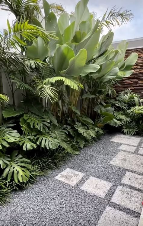 Whether you seek a vibrant escape or a place to find inspiration, our Tropical Garden Design Landscaping is a testament to the endless beauty that nature can offer. #TropicalGarden #LandscapingDesign #ExoticFlora #NatureInspired #BotanicalParadise #GardenEscape #TropicalOasis #LushFoliage #RelaxationRetreat #HorticultureMagic Tropical Backyard Landscaping, Vertikal Garden, Bali Garden, Tropical Landscape Design, Florida Landscaping, Tropical Garden Design, Tropical Backyard, Modern Backyard Landscaping, Gardening Projects