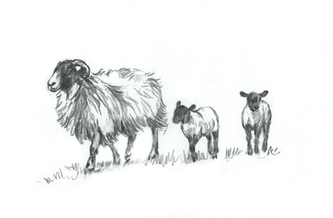 Two Head Drawing, Easy Realistic Drawings, Lamb Pictures, Lamb Drawing, Sheep Pen, Sheep Drawing, Sheep Wall Art, John Howe, Epic Drawings