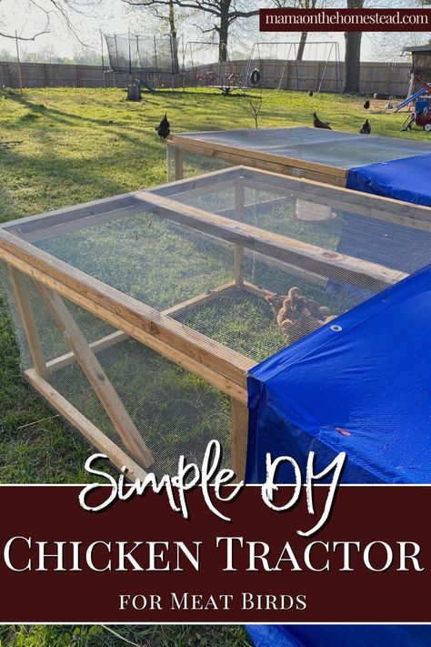 Diy Chicken Tractor, Raising Meat Chickens, Chicken Coop Pallets, Chicken Brooder, Small Chicken Coops, Chicken Shed, Meat Birds, Meat Rabbits, Broiler Chicken