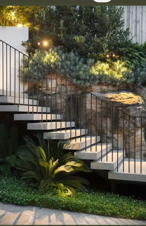 Outdoor Steps With Railing, Metal Stairs Outdoor, Exterior Staircase Design, Balustrade Exterior, Garden Balustrade, Outside Stairs Design, Metal Balustrade, Stairs Outdoor, Cycas Revoluta