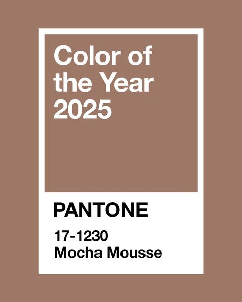 Do you like the new Pantone color of the year? 🤎  This year’s color brings timeless elegance and cozy serenity, reflecting a universal longing for comfort and harmony. It’s an inspiring shade that resonates deeply—and we at Feel This love it so much because it perfectly reflects our own brand’s aesthetic and values. To celebrate, we’ve crafted our own color palettes featuring this stunning color. #pantone #pantone2025 #coloroftheyear #designstudio #palettes #branding #brandidentity #brand... Trending Color Palette 2024-2025, Pantone Of The Year 2025, Color Of 2025 Pantone, 2025 Colors Trend, Pantone Colors 2025, Pantone Color 2025, Pantone 2025 Color Of The Year, Pantone Color Of The Year 2024, Colour Trends 2025