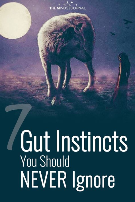 Gut Instinct Quotes Relationships, Gut Intuition Quotes, Gut Instinct Quotes, Never Ignore Your Gut Instinct, Trust Your Gut Instinct Quote, Gut Feeling Quotes, Switch Numbers, Instinct Quotes, Spiritual Documentaries