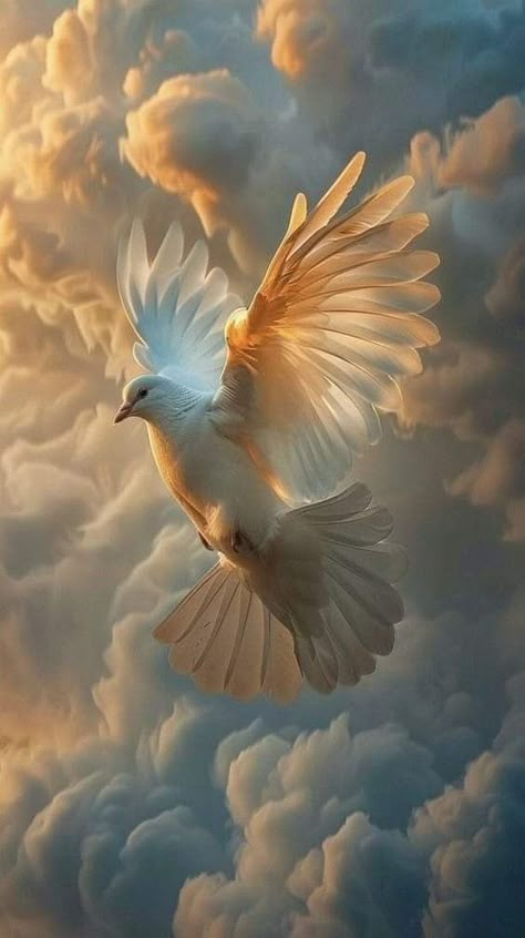 Dove Flying, Dove Images, Dove Pictures, Jesus Artwork, Bird Flying, Jesus Christ Artwork, Heaven Art, Bible Images, Jesus And Mary Pictures