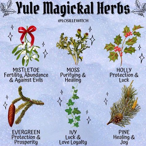 Witchcraft Community on Instagram: “🌿What are your Yule plans? 🌲 . Love these holiday specific magical herbs from @losillewitch ! . Follow @occult.ish for witchy tips,…” Yule Ideas, Yule Traditions, Yule Crafts, Yule Celebration, Winter Solstice Celebration, Pagan Christmas, Pagan Yule, Happy Winter Solstice, Pagan Holidays