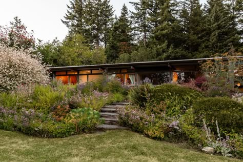 Small Apartment Garden, Ranch House Landscaping, Mid Century Ranch House, Mid Century Landscaping, Mid Century Modern Ranch, Pacific Northwest Garden, Pacific Northwest Style, Hilltop House, Village Design