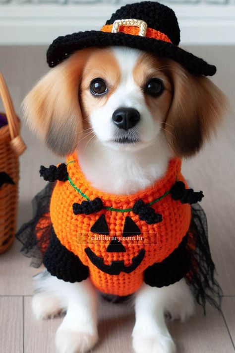 Make your dog the star of Halloween with a handmade crochet costume. Follow our easy guide to create a spooky and adorable outfit! Crochet Cat Costume Free Pattern, Crochet Dog Halloween, Crochet Dog Halloween Costume, Crochet Dog Costume, Crochet Dog Witch Hat, Crochet Pet Costumes, Crochet Pet Halloween Costume, Halloween Crochet Dog Costume, Small Dog Costumes