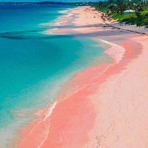 We make flamingoes jealous. Visit our famous pink sand! 🌸 📸 Where Is Bora Bora, Best Island Vacation, Bahamas Travel, Bahamas Vacation, Pink Sand Beach, Harbor Island, Jamaica Vacation, Beach Pink, Honeymoon Spots