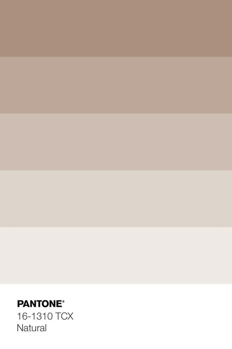 Pantone Metallic Shimmers, Mixing Primary Colors, Nude Color Palette, Pantone Palette, Beige Color Palette, Weathered Teak, Pantone Colour Palettes, Color Pantone, Fall Color Palette