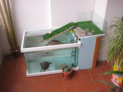 Bored Turtle | Tortoise Forum Tartaruga Habitat, Aquatic Turtle Tank, Turtle Tank Ideas, Turtle Tank Setup, Diy Turtle, Turtle Enclosure, Turtle Tanks, Turtle Terrarium, Turtle Aquarium