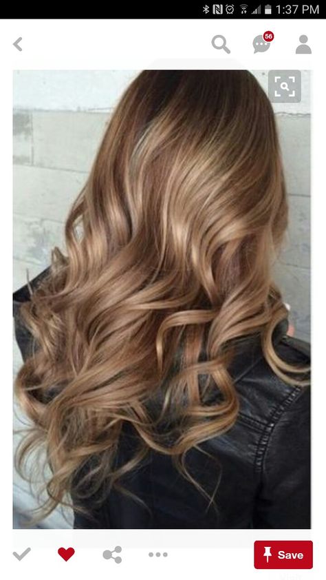 Blended Brunette, Cinnamon Hair, Hair Dye Tips, Hair Brunette, Boring Hair, Brunette Color, Trendy Hair Color, Brown Blonde Hair, Ombre Hair Color