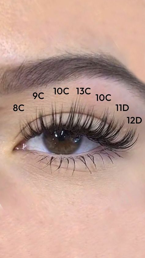 Lash Inspo Eyelash Extensions Natural, Latina Lash Extensions, Hybrid Lash Extensions Hooded Eyes, Eyeliner And Lashes, Natural Fake Eyelashes, Lash Maps, Lash Map, Lash Mapping, Lashes Fake Eyelashes