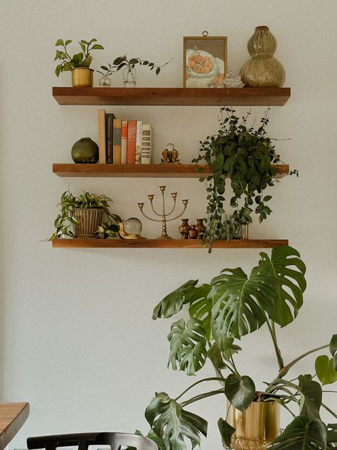 Styling Hanging Shelves, Narrow Bookshelf Styling, Floating Shelves Plants, Whimsical Shelves, Shelf Decor Plants, Plant On Shelf, Minimal Shelf Decor, Floating Plant Shelves, Decorated Shelves