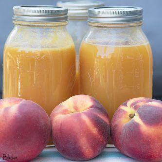 Fresh Peach Nectar - Print Peach Nectar Recipe, Peach Farm, Palisade Colorado, Candy Flavors, Canning Peaches, Peach Drinks, Peach Nectar, Juicy Peach, Peach Desserts