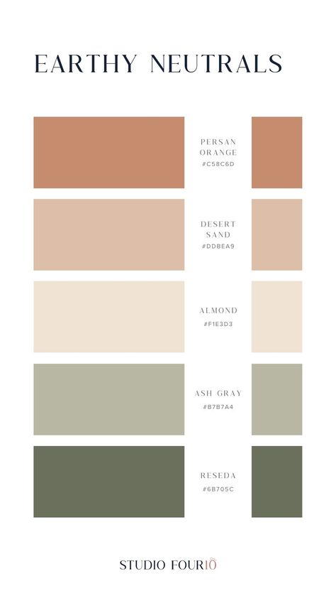 Earth Color Palette Colour Schemes, Color Schemes With Terracotta, Earthy Boho Colour Palette, Down To Earth Color Palette, Nursery Color Palette Neutral, Earthy Home Palette, Neoclassical Interior Design Color Palette, Brown And Sage Color Palette, Cabincore Color Palette