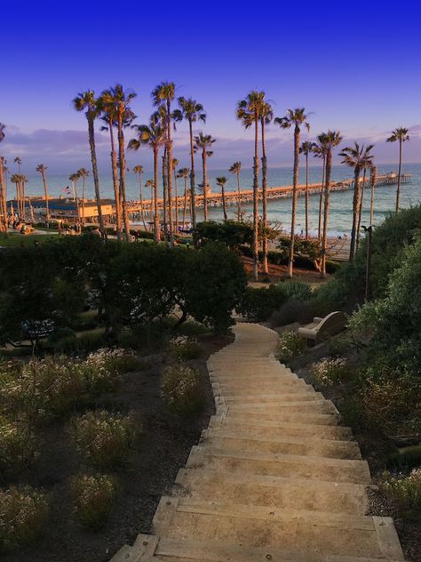 20 Best Things to Do in San Clemente Things To Do In San Clemente Ca, San Clemente California Aesthetic, San Clemente California Things To Do In, Town Bloxburg, San Clemente Beach, San Clemente Pier, Cali Trip, San Clemente California, Dreamy Places