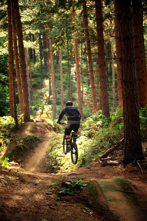 Trail In The Woods, Mtb Downhill, Whats Wallpaper, Mtb Trails, Downhill Mountain Biking, Downhill Bike, Downhill Mtb, Riding A Bike, Mountain Bike Trails