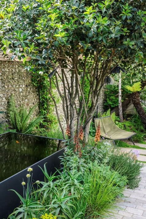 Small Courtyard Garden, Courtyard Garden Design, Courtyard Plants, Small Urban Garden, Small Courtyard, Purbeck Stone, Ferns Garden, Medicinal Garden, Small Courtyard Gardens