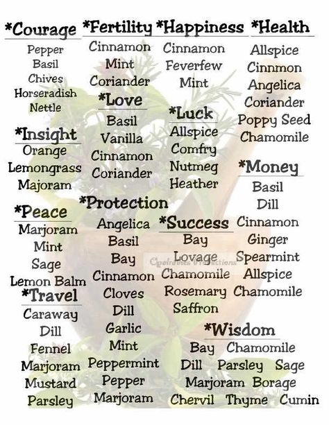 Herb Meanings, Witchcraft Meaning, Wicca Herbs, Witchcraft Herbs, Magickal Herbs, Witch Herbs, Green Witchcraft, Magia Das Ervas, Wiccan Magic