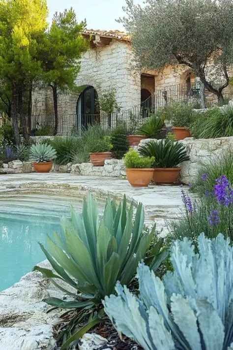 Mediterranean garden with pool and lush landscaping. Mediterranean Tropical Garden, Mediterranean Garden Ideas Landscaping, Mediterranean Backyard Pool, Small Mediterranean Garden, Garden Ideas Mediterranean, Spanish Style Garden, Mediterranean Backyard Ideas, Poolside Landscaping, Mediterranean Garden Ideas