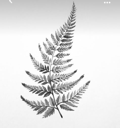 Blatt Tattoos, Botanisches Tattoo, Fern Tattoo, Plant Tattoo, Botanical Tattoo, Nature Tattoos, Simplistic Tattoos, Next Tattoo, New Tattoo