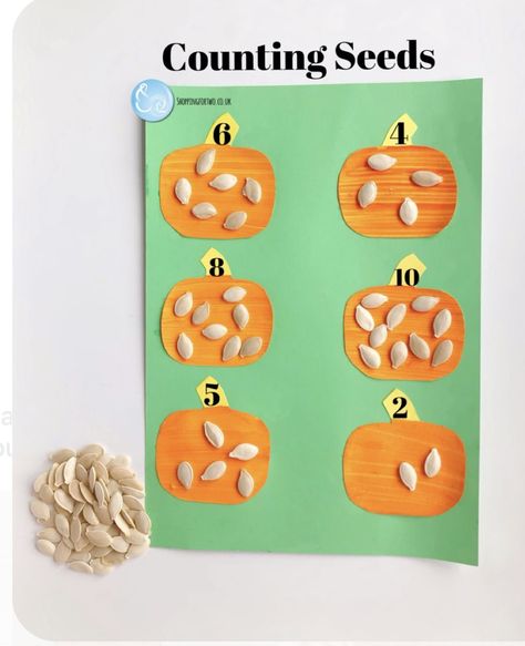 Pumpkin Math Activities For Toddlers, Fall Montessori Activities For Preschool, Fall Tk Activities, Counting Pumpkins Preschool, Halloween Week Preschool, Pumpkin Learning Activities Preschool, Pumpkin Patch Crafts Preschool, Pumpkin Preschool Art, Pumpkin Preschool Theme