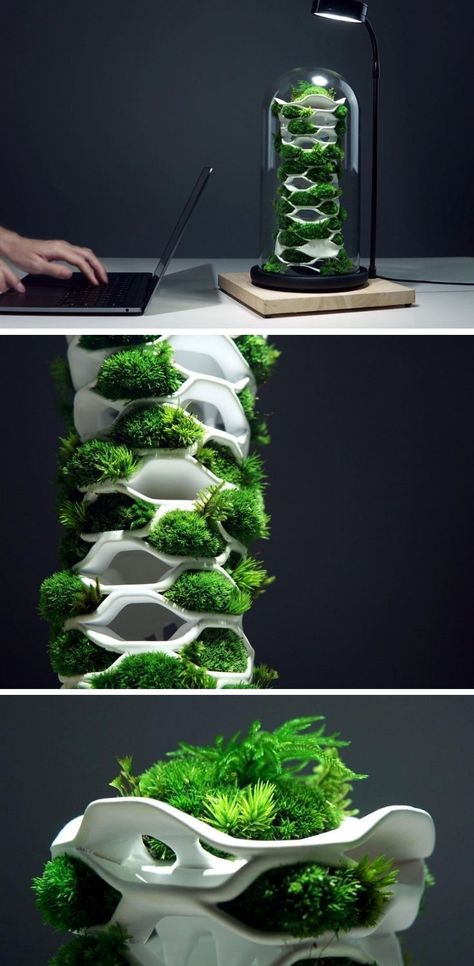 Terrarium Architecture, Rare Indoor Plants, Biomimicry Design Products, Vertical Terrarium, Nature In Architecture, Plant Technology, Green Architecture Design, Botanical Sculpture, Plant Furniture