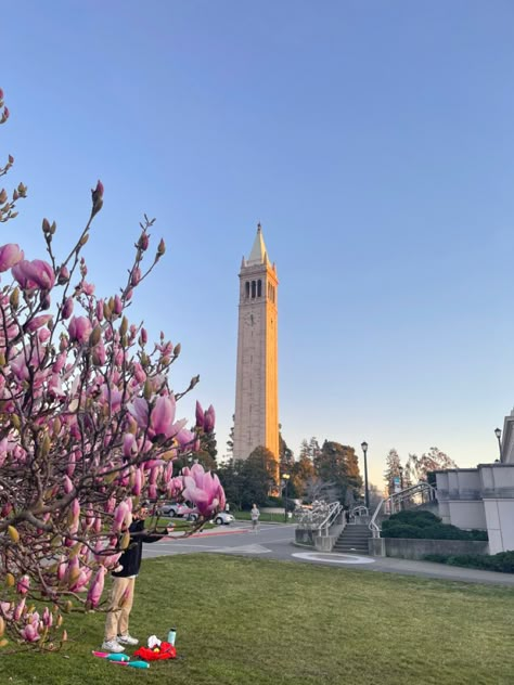 Berkeley California Aesthetic, Berkeley University Aesthetic, Uc Berkeley Aesthetic, Berkeley Aesthetic, Berkley University, Berkley California, Berkeley Law, Olympic Nails, Class Of 2028