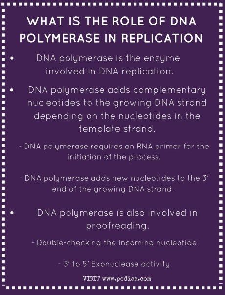 What is the Role of DNA Polymerase in Replication Check more at https://in4arts.com/what-is-the-role-of-dna-polymerase-in-replication.html Dna Polymerase, Molecular Biology, Biochemistry, Toyota Camry, Biology, Toyota, Science