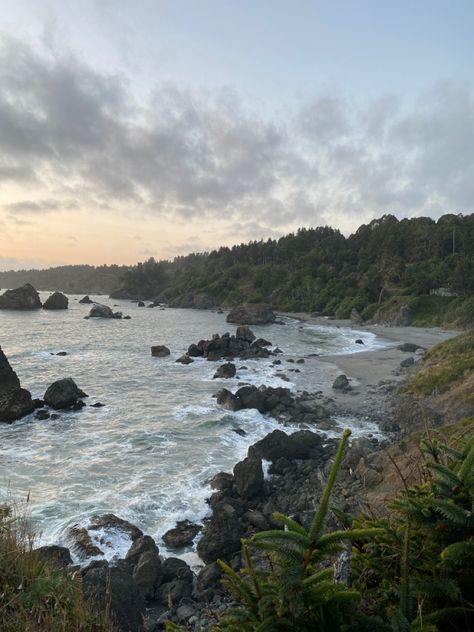 North California Aesthetic, Norcal Aesthetic, North California, Oregon Life, Humboldt County, Ghost Story, Cali Girl, Pretty Landscapes, California Coast