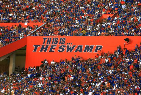 Hi-res-154481863_crop_650x440 Florida Background, Florida Gators Wallpaper, Uf Football, Florida Wallpaper, Uf Gators, College Vision Board, Florida Football, Florida Gators Football, Chomp Chomp