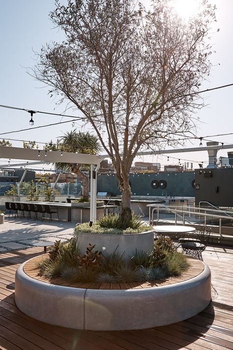 Custom designed and manufactured rooftop garden seat planter in GRC. Habitat House. Photography by Terence Chin. Planter With Seating, Planter Seating, Rooftop Landscape, Miami Landscape, Courtyard Deck, Rooftop Planters, Urban Planters, Garden Escape, Tree Bed