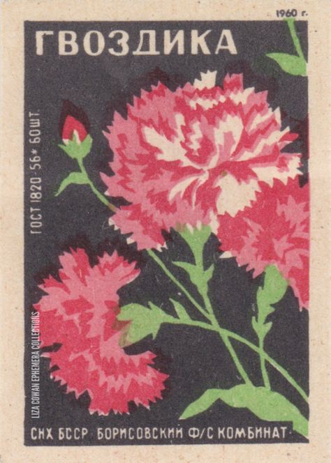 RUSSIAN botanical match box label carnation liza cowan ephemera collections Soviet Matchbox Art, Aster Illustration, See Saw, Postage Stamp Design, Matchbox Label, Matchbook Art, Russian Folk Art, Matchbox Art, Soviet Art