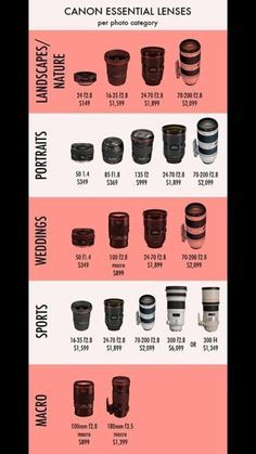 Different Lenses Photography, Photography Ideas Beginners, Canon Essential Lenses, Dslr Camera For Beginners Photography Basics, Canon 75-300mm Lens Photos, Photography Lens Guide, Photography Interactive Posts, Camera Lens Canon, Camera Essentials Photographers