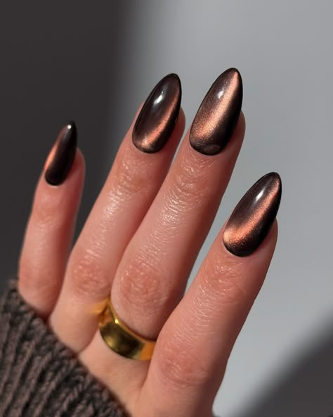 Happy Turkey Day 🦃 so grateful for all of you 🤎 What would you call these glass nails? Cinnamon? Jelly Brown? Let me know below! Products used: @gelcare.official Patent Leather Black, Jelly Brown Bevimee - Silver Cat Eye • use code: THECOLORNOOK to save @nominal #gelcare #lemanoir #gelnails #brownnails #cinnamonglassnails #glassgelnails #glassnails #trendynails #nailartist #gelx #cateyenails cat eye gelx glass nails jelly brown chocolate Brown Cat Eyes Nail, Tigers Eye Nails Design, Black Tiger Eye Nails, Chocolate Brown Cat Eye Nails, Bronze Cat Eye Nails, Chocolate Cat Eye Nails, Black And Gold Cat Eye Nails, Brown Glass Nails, Brown Nails Cat Eye