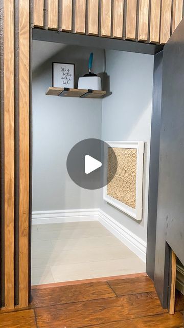 Kristy Letterly | DIY + Home + Design on Instagram: "This was probably my biggest project so far!  Remember when I cut into the wall under my stairs to build a cat closet?  Here’s a recap of the whole project!  I am still loving it and so are the cats!  #catcloset #stairstorage #diyprojects" Ideas For Under Basement Stairs, Cat House Under The Stairs, Cat Closet Room Ideas, Cat Closet Ideas Under Stairs, Understairs Cat Area, Diy Cat Closet Ideas, Cat Litter Box Under Stairs, Cat Closet Under Stairs, Small Cat Closet Ideas