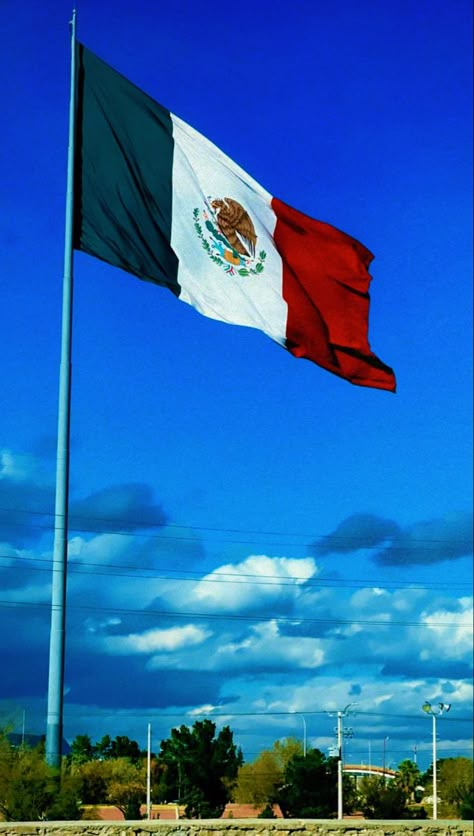 Mexico Flag Wallpapers, Mexican Household, Hispanic Flags, Places In Mexico, Mexican Culture Art, Apple Gift Card, Mexican Flag, Mexican Flags, Mexico Flag