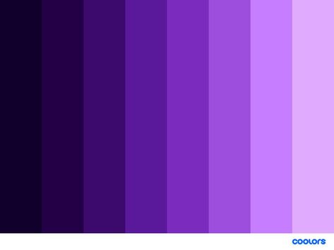 violet monochromatic color palette #violet #colorpalette #monochromatic Purple Hair Color Palette, Purple Monochrome Color Palette, Color Palette Monochromatic, Violet Pallet Color, Purple Monochromatic Painting, Purple Color Palate, Royal Purple Color Palette, Euphoria Color Palette, Purple Pallete Color