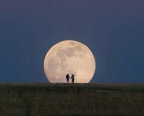 People Holding Hands, Fotografi Vintage, The Moon Is Beautiful, Look At The Moon, Camping Outfits, Moon Lovers, The Full Moon, 인물 사진, My Vibe